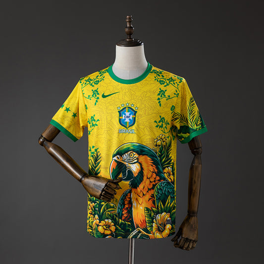 Concept Brazil 26
